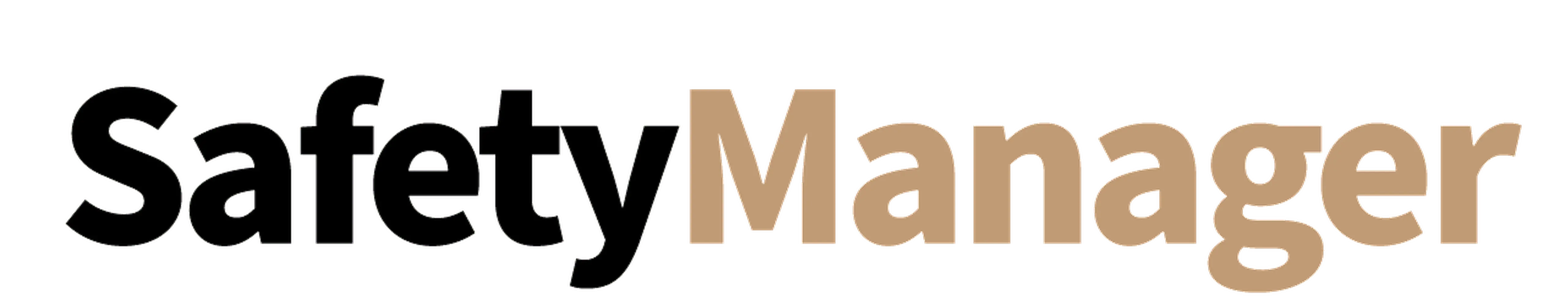Safety Manager